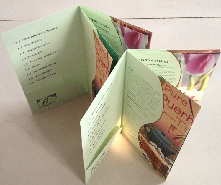 企業(yè)畫冊(cè)印刷 彩色樣本 宣傳單印刷 說(shuō)明書海報(bào) 宣傳冊(cè)印刷品定制